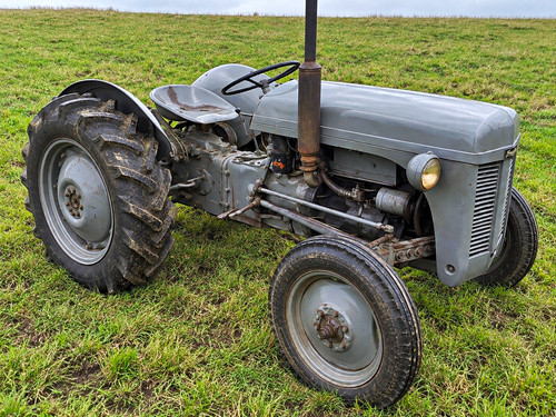 Ferguson vintage grey - grey, farm