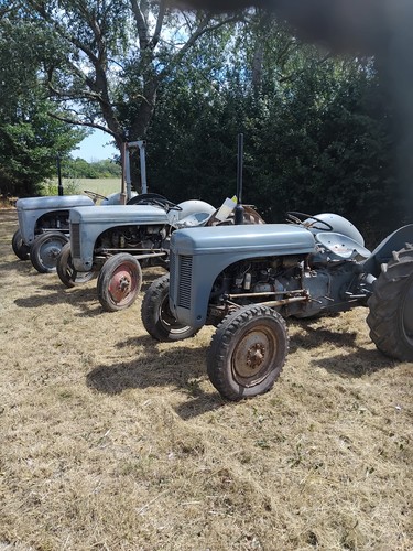 Ferguson grey fergie choice - grey, fergie..choice